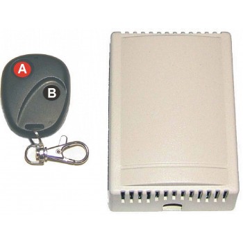 Τηλεχειρισμός 2 καναλιών